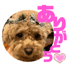 [LINEスタンプ] ととは スタンプ