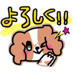 [LINEスタンプ] キャバリアのチロルくん！日常使いスタンプ