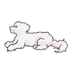 [LINEスタンプ] 白い犬のネル 1