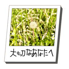 [LINEスタンプ] 大切なあなたへの言葉