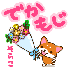 [LINEスタンプ] 柴犬そらこ【挨拶】でか文字