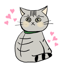 [LINEスタンプ] 猫のびーちゃん