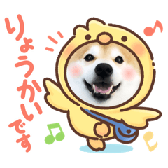 [LINEスタンプ] 柴犬のぼちゃん 毎日使えるスタンプ2