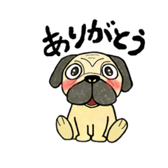 [LINEスタンプ] おすわりパグ