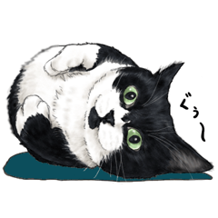 [LINEスタンプ] 猫にまみれたがりのスタンプ2