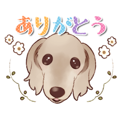 [LINEスタンプ] ダックスフント☆ハルのスタンプ