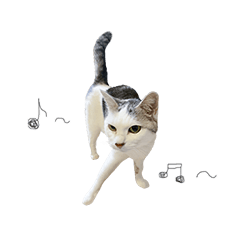 [LINEスタンプ] シルク、LINEにそいっ♪と登場。