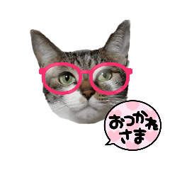 [LINEスタンプ] ミーチャン1