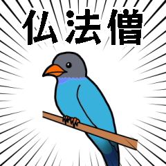 [LINEスタンプ] 幸せの青い鳥 ブッポウソウ