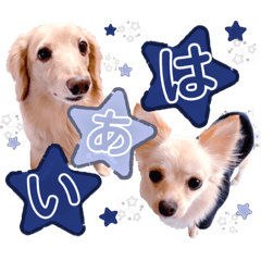 [LINEスタンプ] sora***