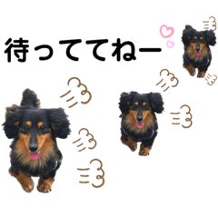 [LINEスタンプ] ダックス 大好き    プッペスタンプ②