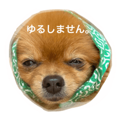 [LINEスタンプ] ふわふわのおともだちさんから