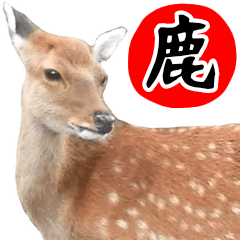 [LINEスタンプ] 飛び出す！シカと動物園の仲間たち