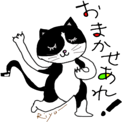 [LINEスタンプ] えびばでぃnekoちゃま りゅー編