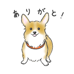 [LINEスタンプ] わんこ大集合スペシャル