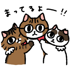 [LINEスタンプ] ねこにゃんトリオ