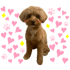 [LINEスタンプ] 琥珀の口癖スタンプ