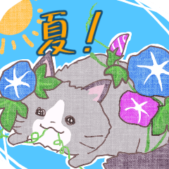 [LINEスタンプ] 夏に使えるねこスタンプ（ラグドール）