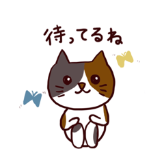 [LINEスタンプ] 三毛猫のテンちゃん