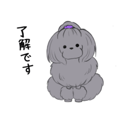 [LINEスタンプ] プードルの「poo」