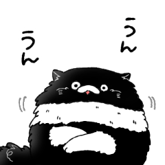 [LINEスタンプ] 長毛猫オロちとエキゾチックな猫仲間たち