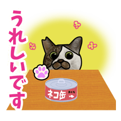 [LINEスタンプ] 保護猫スタンプ 怖がりポルコ