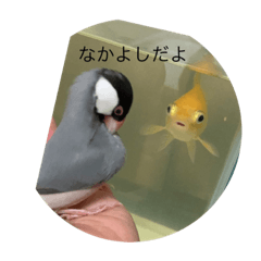 [LINEスタンプ] こっことしょうたスタンプ