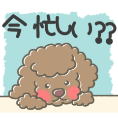 [LINEスタンプ] かわいいブラウントイプードル