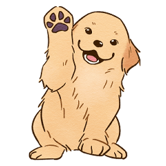 [LINEスタンプ] ゴールデンレトリバーの子犬のスタンプ