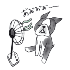 [LINEスタンプ] 夏だよ！落書きボストンテリア