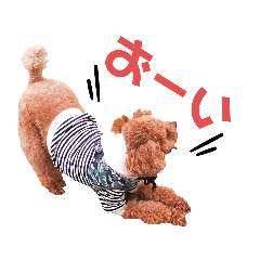 [LINEスタンプ] こむぎーたにえん2