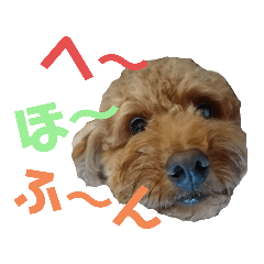 [LINEスタンプ] こむーたにえん2
