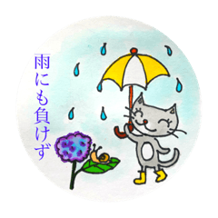 [LINEスタンプ] コトコトスタンプ第4弾‼️