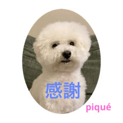 [LINEスタンプ] ピケその6