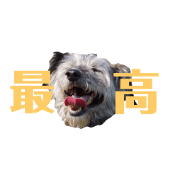 [LINEスタンプ] ちっぽこぴーちゃん