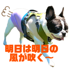 [LINEスタンプ] ペロスタ2022