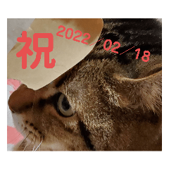 [LINEスタンプ] ぴのとE3⑤