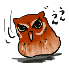 [LINEスタンプ] フクロウのマヨちゃん