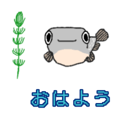 [LINEスタンプ] メダカの暮らし