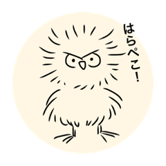 [LINEスタンプ] フクロウ きっとんとん