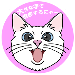 [LINEスタンプ] 毎日使える白猫さんの挨拶スタンプ