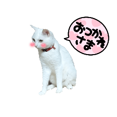 [LINEスタンプ] M家Family2