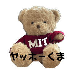 [LINEスタンプ] クマくまくんのスタンプ