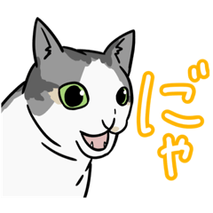 [LINEスタンプ] キジシロれおちくん2