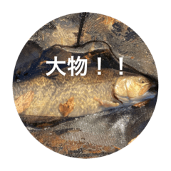 [LINEスタンプ] fishingスタンプ20