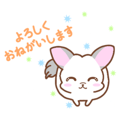 [LINEスタンプ] ☆チンチラ☆スタンプ