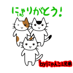 [LINEスタンプ] はっちのにゃんこ三兄弟