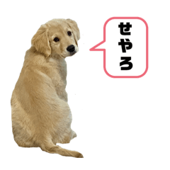 [LINEスタンプ] ローラとクレア3