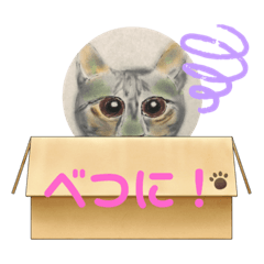 [LINEスタンプ] dog  cat001