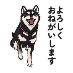 [LINEスタンプ] しばいぬ1